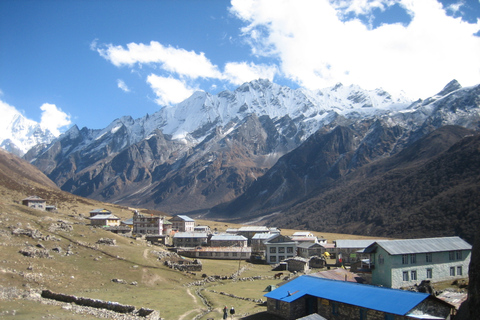 Trekking dans la vallée du Langtang