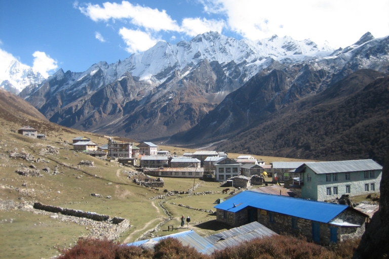 Trekking dans la vallée du Langtang