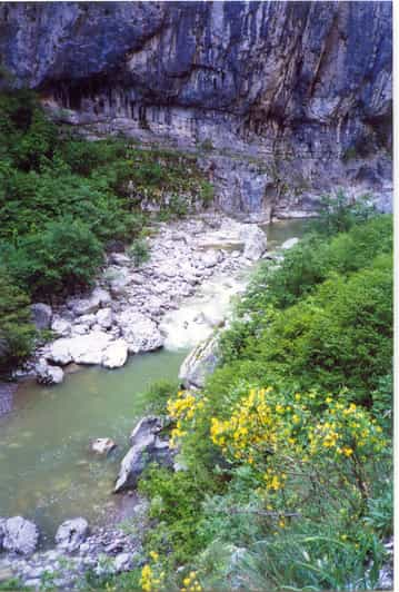 Vikos Gorge Hele Dag Begeleide Wandeling Getyourguide