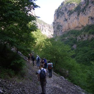 Vikos Gorge Full-Day Guided Hike