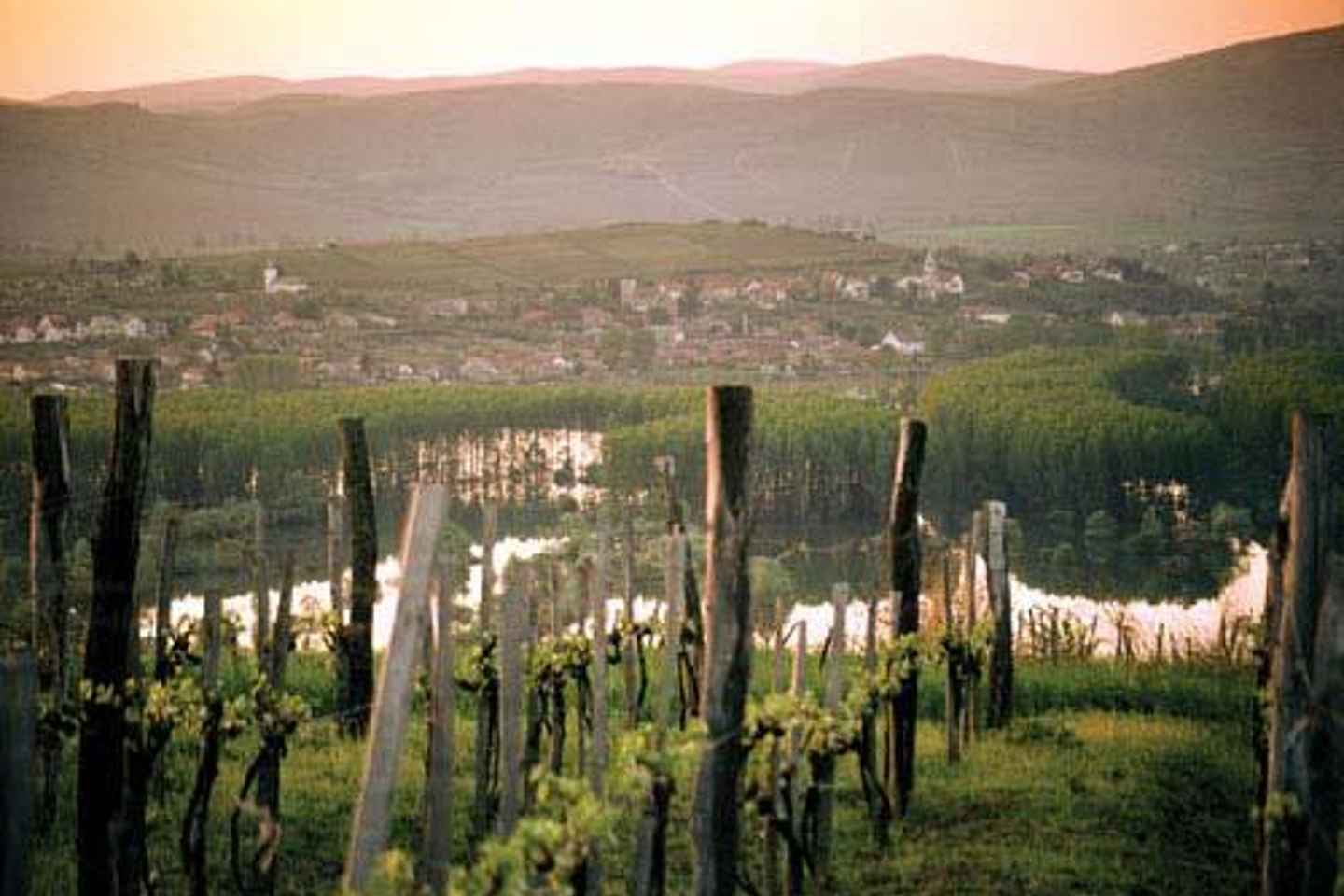 Tokaj Private Day Tour from Budapest