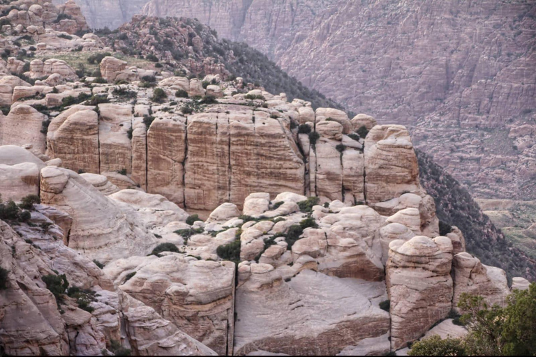 Amman: Mujib Viewpoint, Kerak Castle & Dana Day Trip