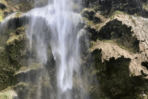 Oslob: Whale Sharks, Tumalog Falls & Sumilon Trio Adventure