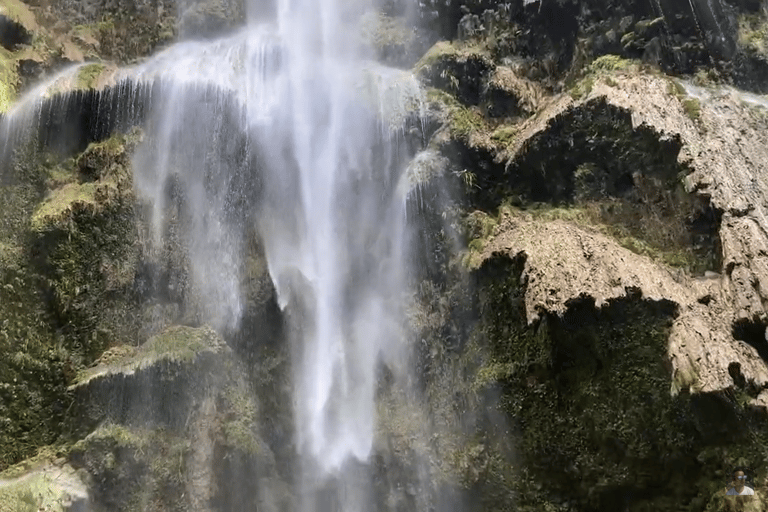 Oslob: Whale Sharks, Tumalog Falls & Sumilon Trio Adventure