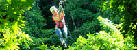 Ocho Rios, White River Jungle Zipline et Blue Hole Expérience - Housity