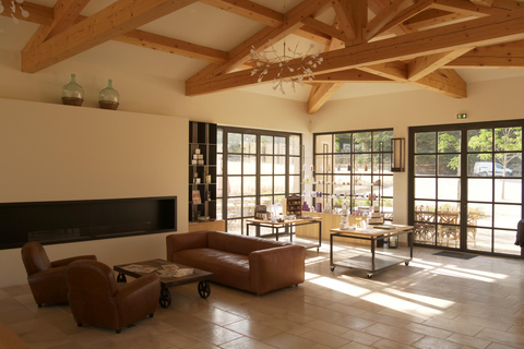 Luberon: Vineyard Tour and Wine Tasting