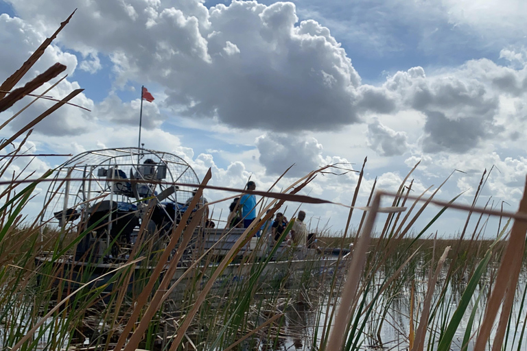 Miami: Everglades Airboat, Wildlife Show & Transfer Spanish