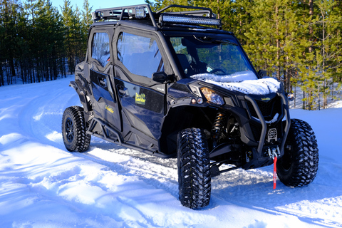 Helsinki: Buggy Ride, Reindeer Farm Visit, and Picnic