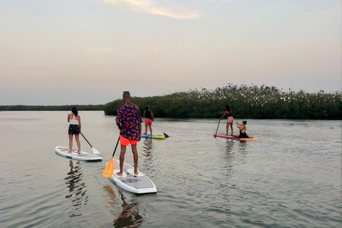 Somone: Guided Group Canoe Tour through the Mangroves Canoe 1 seat
