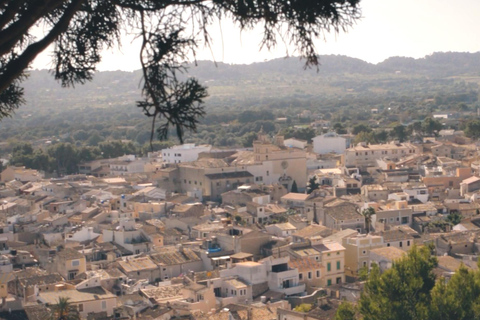 Arta Caves and Market Excursion