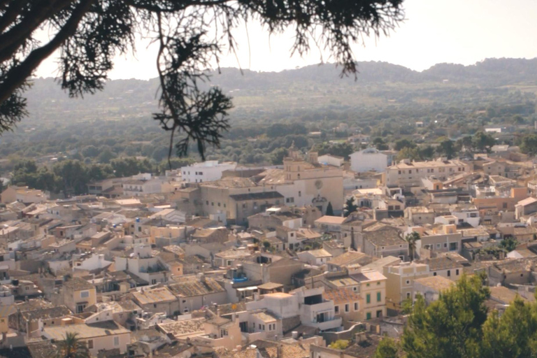 Arta Caves and Market Excursion