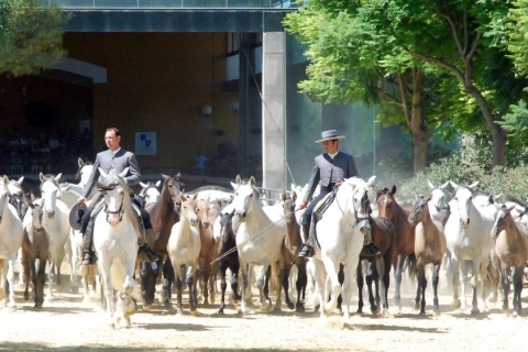 Jerez: Yeguada de la Cartuja – Kartäuser-Pferde-Tour