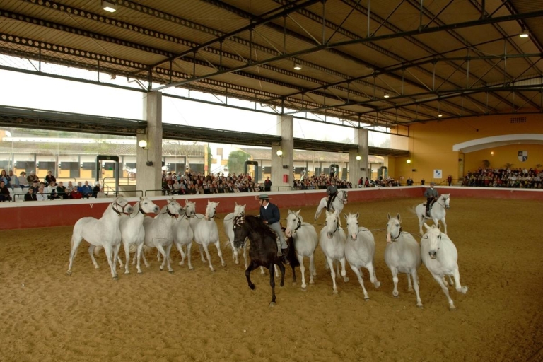Jerez: Yeguada de la Cartuja kartuizer paardenervaring