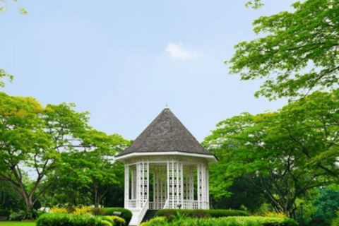 Singapore: Guided Walking Tour of Chinatown & Botanic Garden