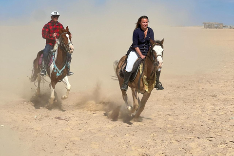 الغردقة: جولة ركوب الخيل في الصحراء والبحر مع خيار السباحةجولة لمدة ساعتين لركوب الخيل بدون السباح