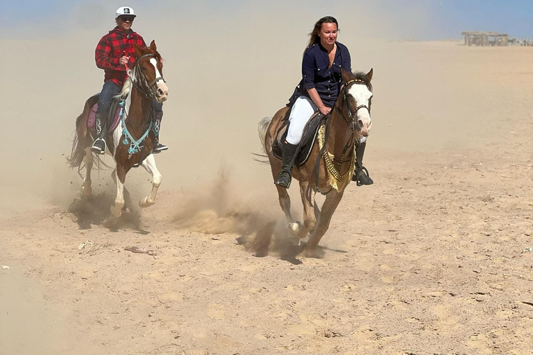 الغردقة: جولة ركوب الخيل في الصحراء والبحر مع خيار السباحةجولة لمدة ساعتين لركوب الخيل بدون السباح