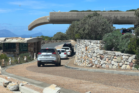 Cape of Good Hope and Penguins Full-Day Private Tour Private tour: Cape of Good Hope and Penguins Full-Day Tour