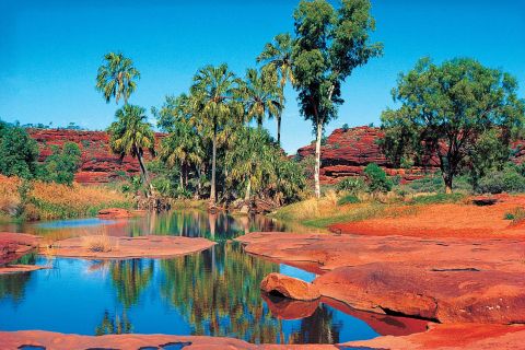 From Alice Springs: Palm Valley 4WD Outback Safari + Picnic