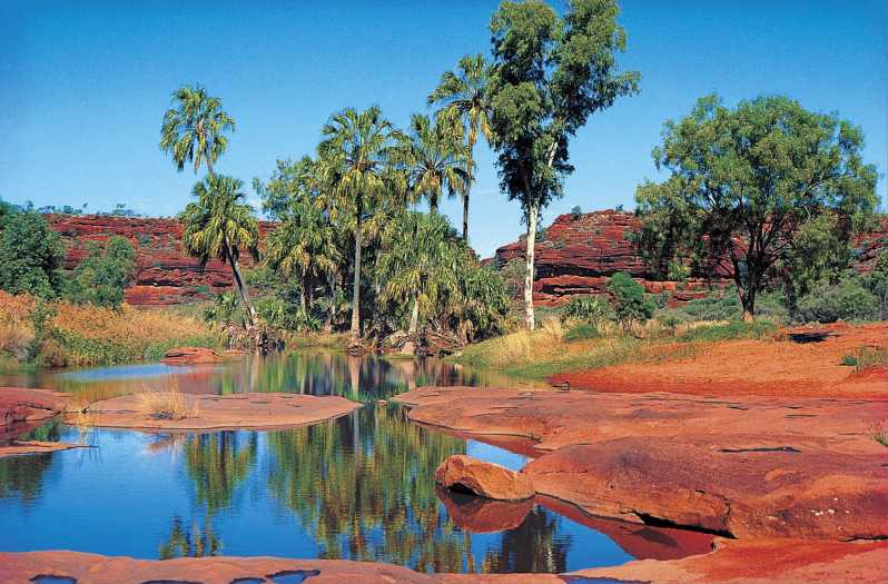 From Alice Springs: Palm Valley 4WD Outback Safari + Picnic