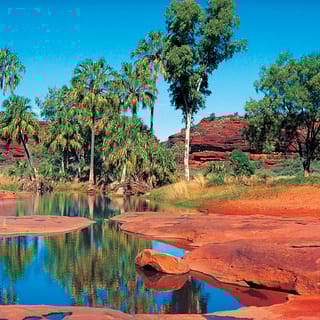From Alice Springs: Palm Valley 4WD Outback Safari + Picnic