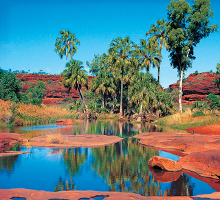 Jeep Tours in Alice Springs