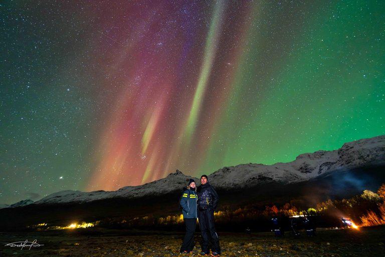 Tromsø | The OFFICIAL Northern Lights Safari Company