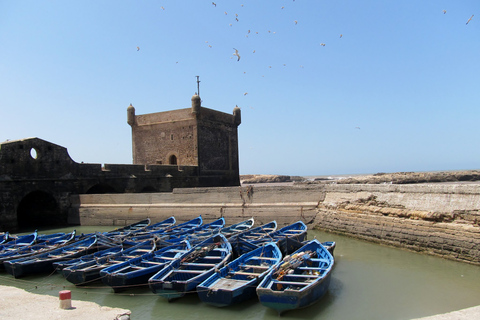 Agadir or Taghazout Essaouira old city day Trip with guide