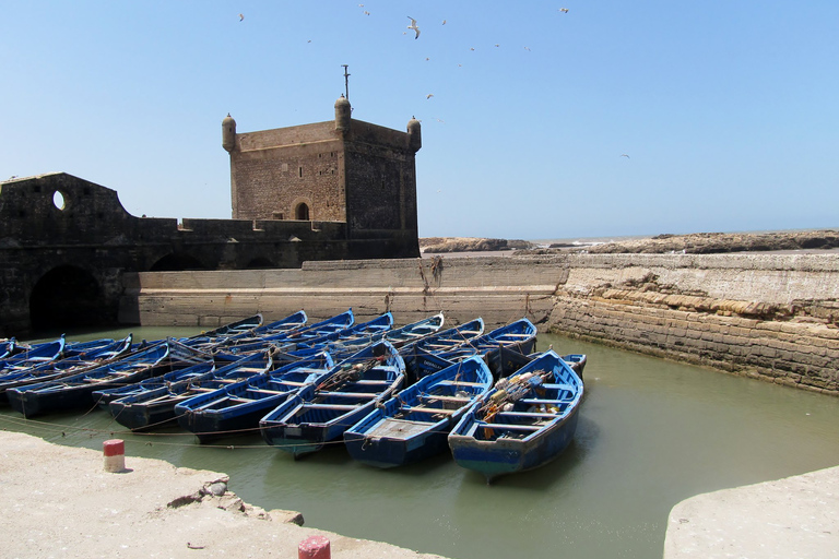 Agadir ou Taghazout Essaouira - Excursion d'une journée dans la vieille ville avec guide