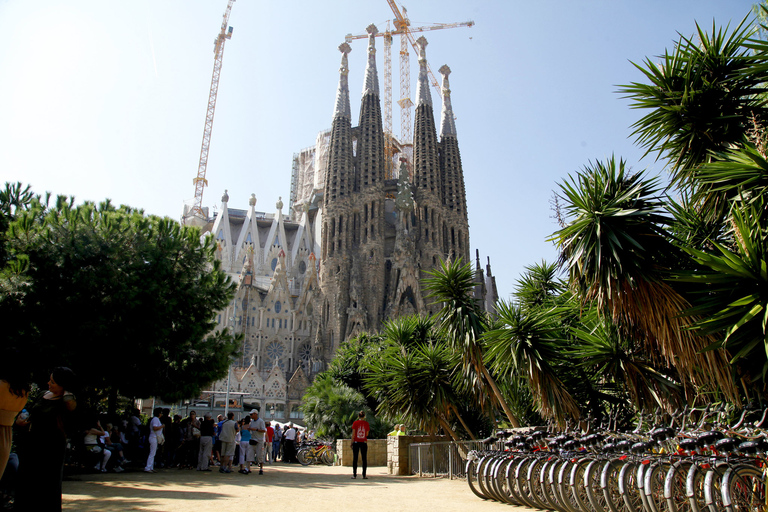 Barcelona: Guided Highlights Bike or eBike Tour (3 Hours) Barcelona Standard Bike Tour in German