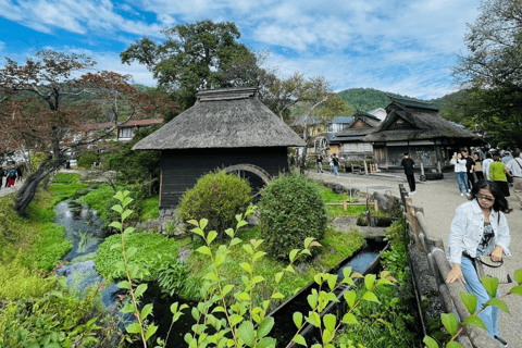 Tokyo: Monte Fuji e Hakone Tour privato flessibile e a basso prezzo