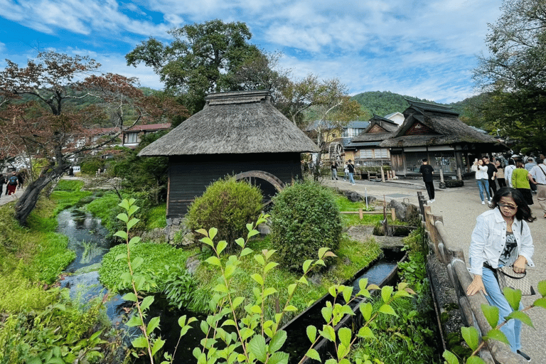 Tóquio: Monte Fuji e Hakone Tour Particular Flexível e de Baixo Preço