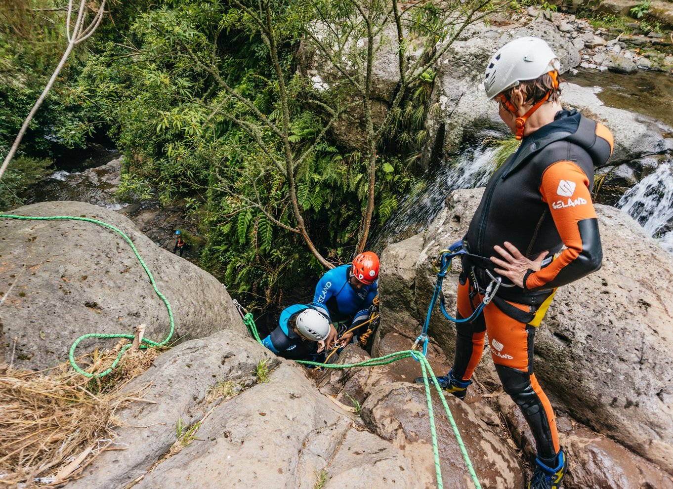 Funchal: Halvdags begyndervenlig canyoning-oplevelse