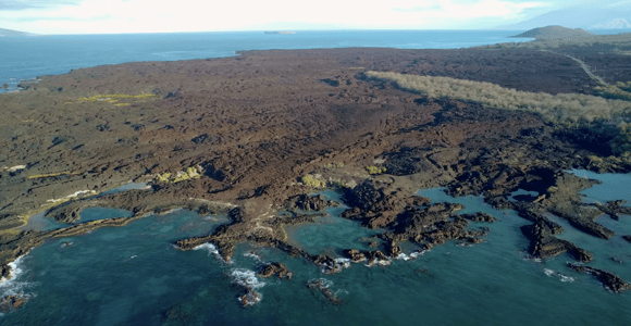 Maui: Open-Air Black Sand Beach & Lava Fields Tour