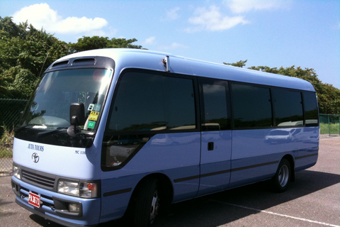 Transporte del Aeropuerto de Montego Bay a Negril