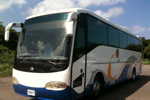 Transporte del Aeropuerto de Montego Bay a Negril