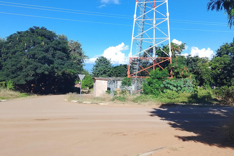 Victoria Falls: Walking Tour with Curio Market Visit