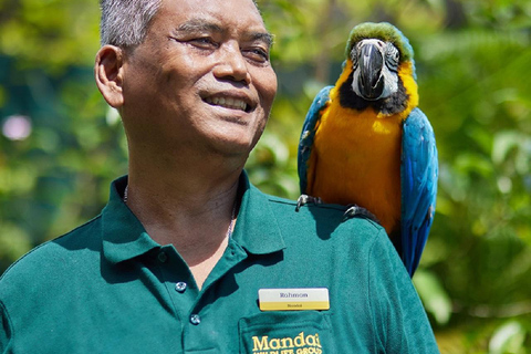 Singapur: bilet wstępu do Ptasiego RajuStandardowy wstęp dla turystów