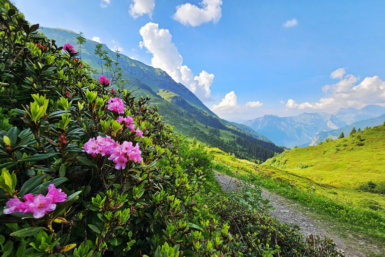 Escursione a Lauterbrunnen-Mürren con le cascate di Trümmelbach