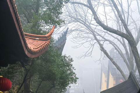 Hangzhou: Feilai Feng Scenic Tour med forntida stenristningar