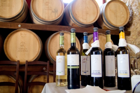 Arrábida und Sesimbra: Tagestour mit Weinprobe