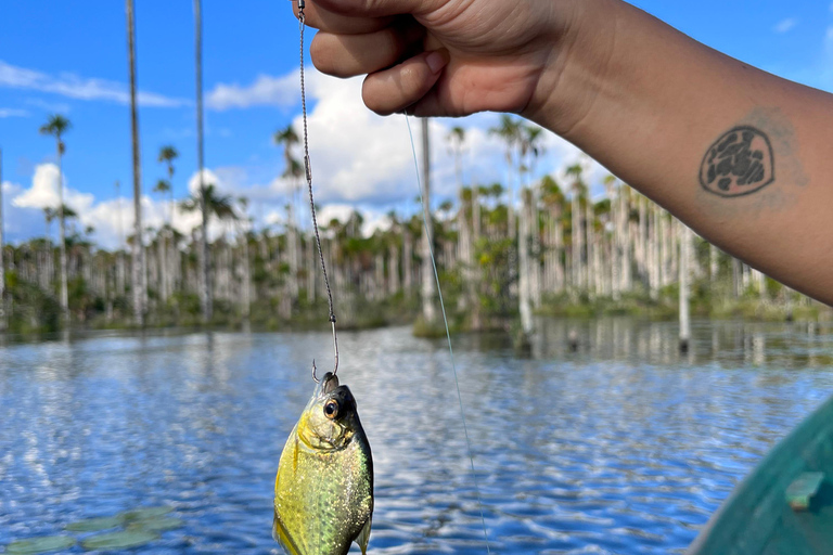 Puerto Maldonado: Pesca privada de piranhas no lago Yacumama