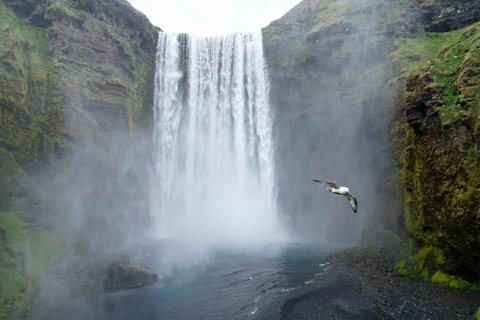 Private Tagestour an der Südküste mit GletscherwanderungPrivate Tagestour an die Südküste mit Gletscherwanderung