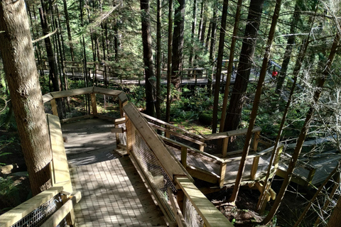 4Tour:Capilano Suspension Br/CAR/Small GROUP+Lake+Dam+Hacher