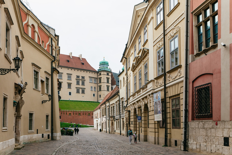 Krakow: Wawel Royal Hill Guided Tour Tour in English - Shared