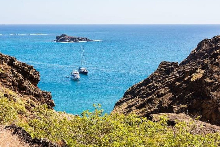 Galapagos: Santa Cruz Charles Darwin Research Station Visit