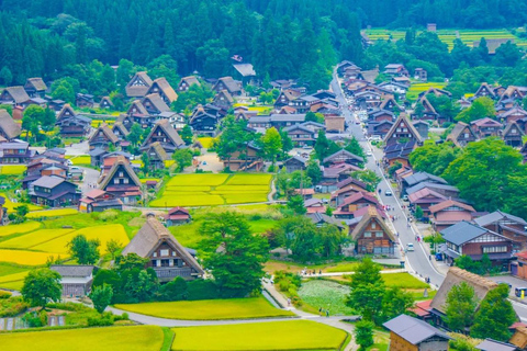 Visite à la journée de Shirakawago&amp;HidaTakayama&amp;GujoHachiman depuis Nagoya