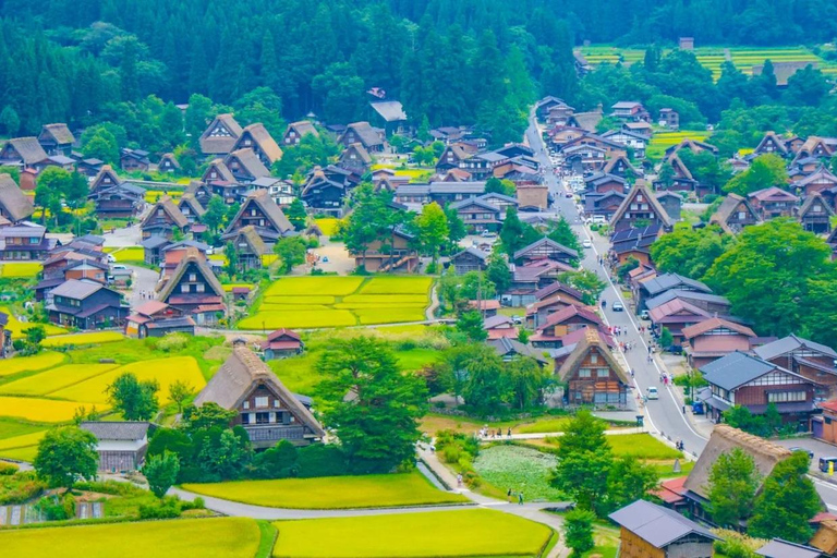 Visite à la journée de Shirakawago&amp;HidaTakayama&amp;GujoHachiman depuis Nagoya