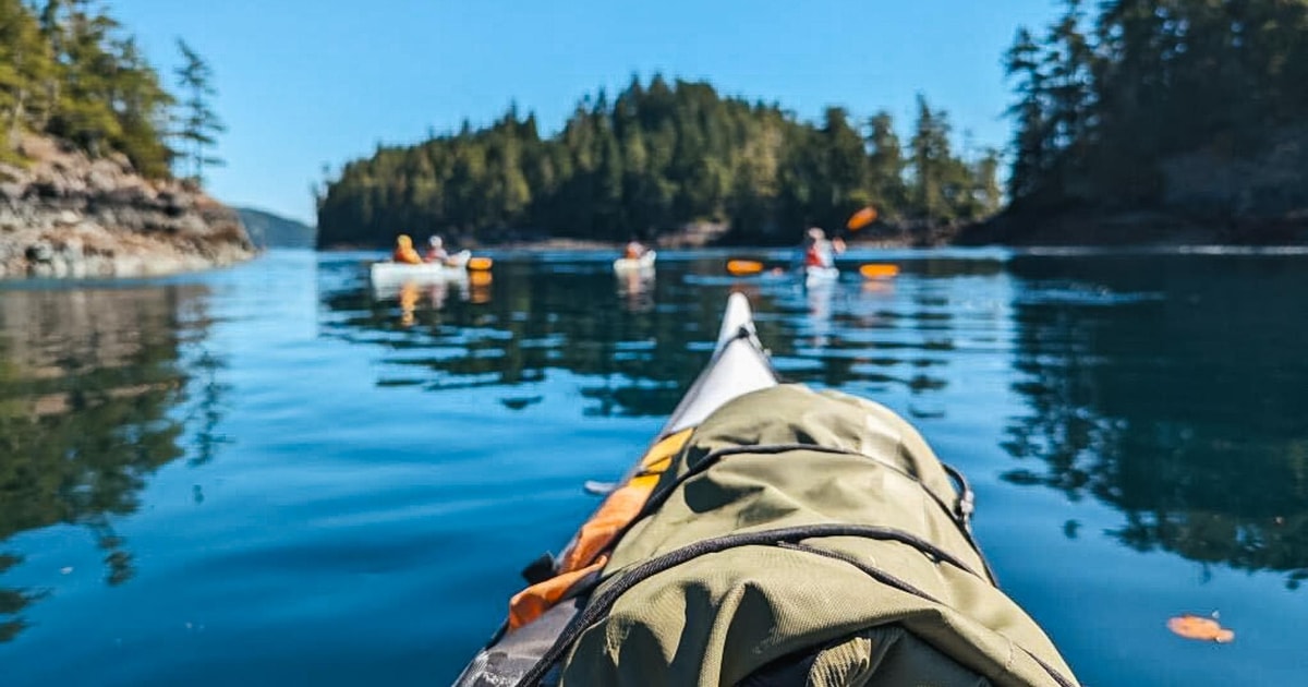 Telegraph Cove Excursion d'une demijournée en kayak GetYourGuide