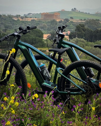 E-Bike & Food Experience at the Valley of the Temples: History, Nature and Traditions