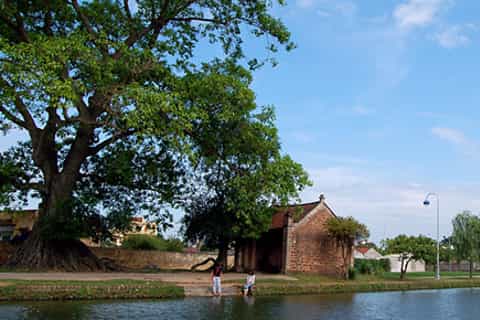 Hanoi: 8-Hour Countryside Tour to Duong Lam Village